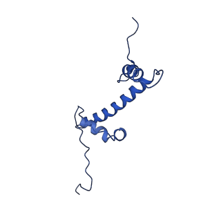 33132_7xd1_C_v1-2
cryo-EM structure of unmodified nucleosome