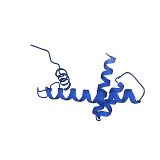 33132_7xd1_D_v1-2
cryo-EM structure of unmodified nucleosome