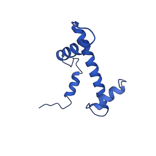 33132_7xd1_E_v1-2
cryo-EM structure of unmodified nucleosome