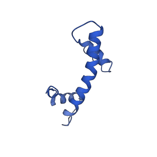 33132_7xd1_F_v1-2
cryo-EM structure of unmodified nucleosome