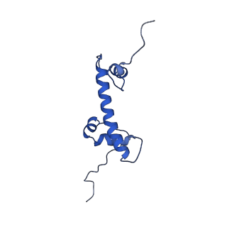33132_7xd1_G_v1-2
cryo-EM structure of unmodified nucleosome