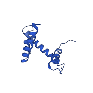 33132_7xd1_H_v1-2
cryo-EM structure of unmodified nucleosome