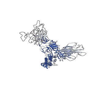 33133_7xd2_A_v1-0
SARS-CoV-2 S ectodomain trimer in complex with neutralizing antibody 10-5B