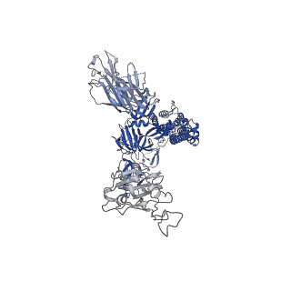 33133_7xd2_B_v1-0
SARS-CoV-2 S ectodomain trimer in complex with neutralizing antibody 10-5B
