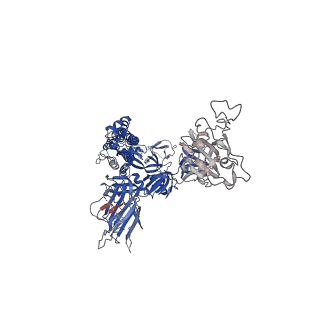 33133_7xd2_C_v1-0
SARS-CoV-2 S ectodomain trimer in complex with neutralizing antibody 10-5B