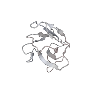 33133_7xd2_I_v1-0
SARS-CoV-2 S ectodomain trimer in complex with neutralizing antibody 10-5B