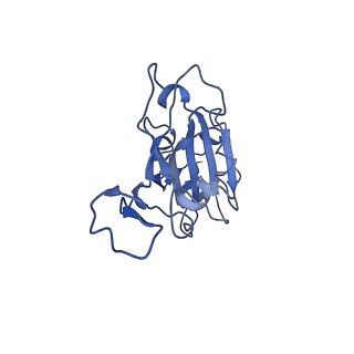33140_7xda_A_v1-0
Cryo-EM structure of SARS-CoV-2 Delta RBD in complex with BA7208 and BA7125 fab (local refinement)