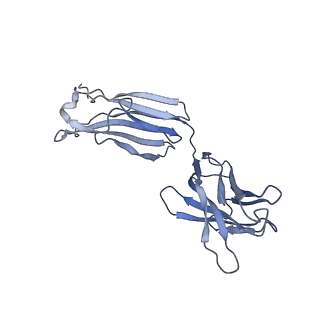 33140_7xda_D_v1-0
Cryo-EM structure of SARS-CoV-2 Delta RBD in complex with BA7208 and BA7125 fab (local refinement)