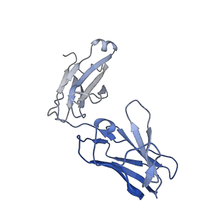 33140_7xda_E_v1-0
Cryo-EM structure of SARS-CoV-2 Delta RBD in complex with BA7208 and BA7125 fab (local refinement)
