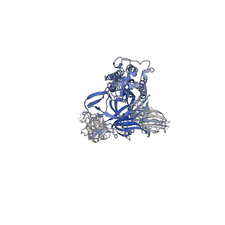 33142_7xdb_C_v1-0
Cryo-EM structure of SARS-CoV-2 Omicron Spike protein in complex with BA7208 fab