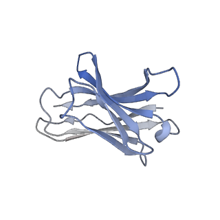 33142_7xdb_D_v1-0
Cryo-EM structure of SARS-CoV-2 Omicron Spike protein in complex with BA7208 fab