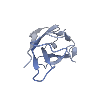 33142_7xdb_E_v1-0
Cryo-EM structure of SARS-CoV-2 Omicron Spike protein in complex with BA7208 fab