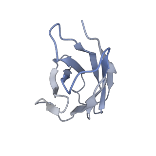 33142_7xdb_F_v1-0
Cryo-EM structure of SARS-CoV-2 Omicron Spike protein in complex with BA7208 fab