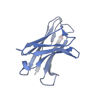 33142_7xdb_G_v1-0
Cryo-EM structure of SARS-CoV-2 Omicron Spike protein in complex with BA7208 fab