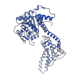 33144_7xdd_A_v1-2
Cryo-EM structure of EDS1 and PAD4