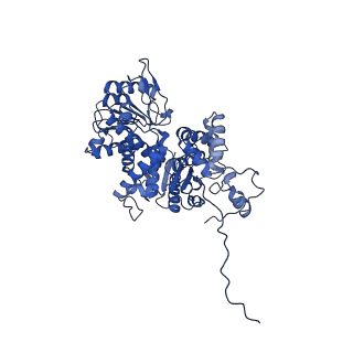 33145_7xde_A_v1-1
Cryo-EM structures of human mitochondrial NAD(P)+-dependent malic enzyme in apo form