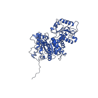33145_7xde_B_v1-1
Cryo-EM structures of human mitochondrial NAD(P)+-dependent malic enzyme in apo form