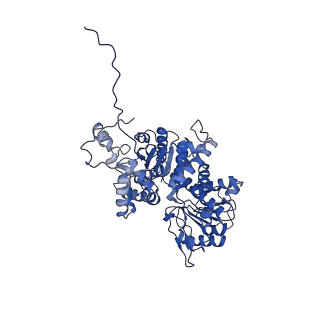 33145_7xde_C_v1-1
Cryo-EM structures of human mitochondrial NAD(P)+-dependent malic enzyme in apo form