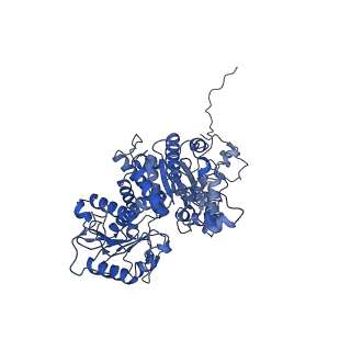 33145_7xde_D_v1-1
Cryo-EM structures of human mitochondrial NAD(P)+-dependent malic enzyme in apo form