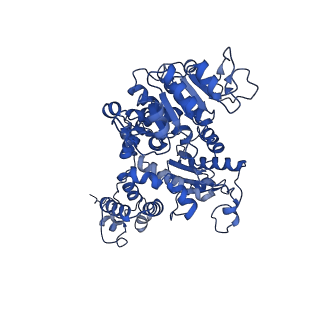 33146_7xdf_A_v1-1
Cryo-EM structures of human mitochondrial NAD(P)+-dependent malic enzyme in a ternary complex with NAD+ and allosteric inhibitor EA