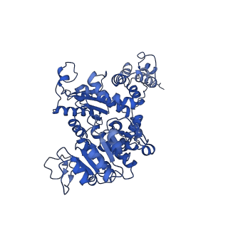 33146_7xdf_B_v1-1
Cryo-EM structures of human mitochondrial NAD(P)+-dependent malic enzyme in a ternary complex with NAD+ and allosteric inhibitor EA