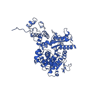 33146_7xdf_C_v1-1
Cryo-EM structures of human mitochondrial NAD(P)+-dependent malic enzyme in a ternary complex with NAD+ and allosteric inhibitor EA
