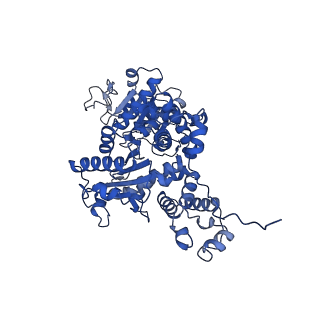 33146_7xdf_D_v1-1
Cryo-EM structures of human mitochondrial NAD(P)+-dependent malic enzyme in a ternary complex with NAD+ and allosteric inhibitor EA