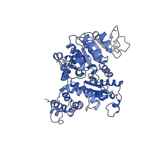 33147_7xdg_A_v1-1
Cryo-EM structures of human mitochondrial NAD(P)+-dependent malic enzyme in a ternary complex with NAD+ and allosteric inhibitor MDSA