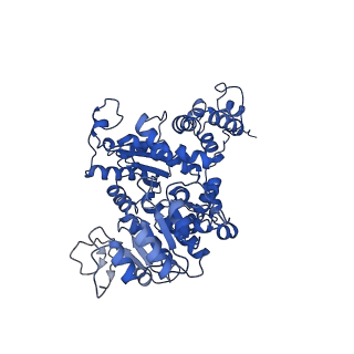 33147_7xdg_B_v1-1
Cryo-EM structures of human mitochondrial NAD(P)+-dependent malic enzyme in a ternary complex with NAD+ and allosteric inhibitor MDSA