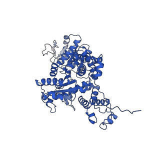 33147_7xdg_D_v1-1
Cryo-EM structures of human mitochondrial NAD(P)+-dependent malic enzyme in a ternary complex with NAD+ and allosteric inhibitor MDSA