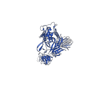33150_7xdk_C_v1-0
Cryo-EM structure of SARS-CoV-2 Delta Spike protein in complex with BA7054 and BA7125 fab