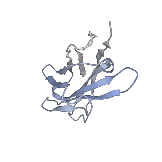 33150_7xdk_D_v1-0
Cryo-EM structure of SARS-CoV-2 Delta Spike protein in complex with BA7054 and BA7125 fab