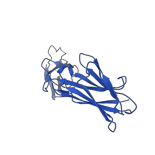 33150_7xdk_F_v1-0
Cryo-EM structure of SARS-CoV-2 Delta Spike protein in complex with BA7054 and BA7125 fab