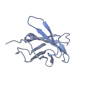 33150_7xdk_H_v1-0
Cryo-EM structure of SARS-CoV-2 Delta Spike protein in complex with BA7054 and BA7125 fab