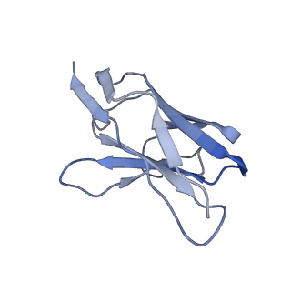 33150_7xdk_I_v1-0
Cryo-EM structure of SARS-CoV-2 Delta Spike protein in complex with BA7054 and BA7125 fab