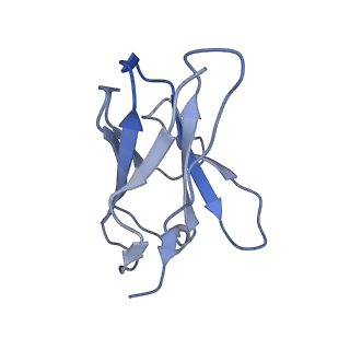33150_7xdk_O_v1-0
Cryo-EM structure of SARS-CoV-2 Delta Spike protein in complex with BA7054 and BA7125 fab