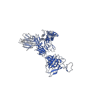 33151_7xdl_B_v1-0
Cryo-EM structure of SARS-CoV-2 Delta Spike protein in complex with BA7208 and BA7125 fab