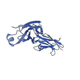 33151_7xdl_E_v1-0
Cryo-EM structure of SARS-CoV-2 Delta Spike protein in complex with BA7208 and BA7125 fab