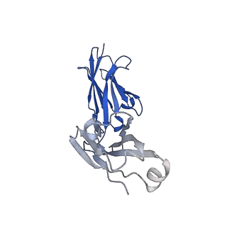 33151_7xdl_I_v1-0
Cryo-EM structure of SARS-CoV-2 Delta Spike protein in complex with BA7208 and BA7125 fab