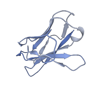 33151_7xdl_L_v1-0
Cryo-EM structure of SARS-CoV-2 Delta Spike protein in complex with BA7208 and BA7125 fab
