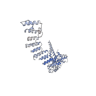 33152_7xdt_B_v1-1
Structural basis for Gemin5 decamer-mediated mRNA binding