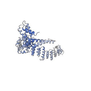 33152_7xdt_C_v1-1
Structural basis for Gemin5 decamer-mediated mRNA binding