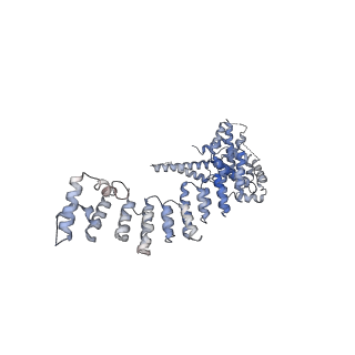 33152_7xdt_D_v1-1
Structural basis for Gemin5 decamer-mediated mRNA binding
