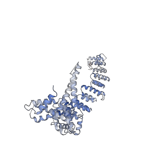 33152_7xdt_E_v1-1
Structural basis for Gemin5 decamer-mediated mRNA binding