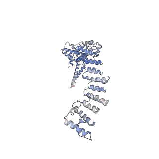 33152_7xdt_F_v1-1
Structural basis for Gemin5 decamer-mediated mRNA binding