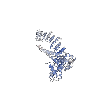 33152_7xdt_G_v1-1
Structural basis for Gemin5 decamer-mediated mRNA binding