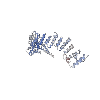 33152_7xdt_H_v1-1
Structural basis for Gemin5 decamer-mediated mRNA binding