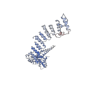 33152_7xdt_J_v1-1
Structural basis for Gemin5 decamer-mediated mRNA binding