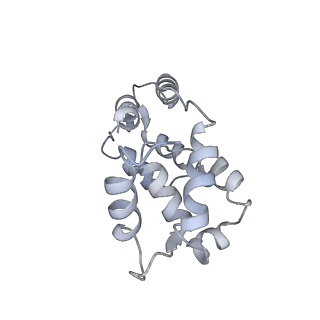 22145_6xe9_B_v1-2
10S myosin II (smooth muscle)