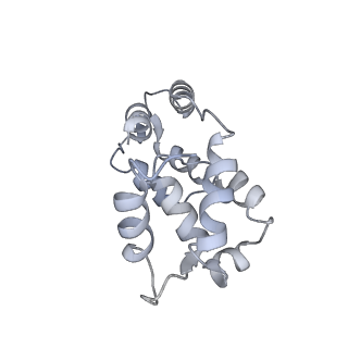 22145_6xe9_B_v1-3
10S myosin II (smooth muscle)